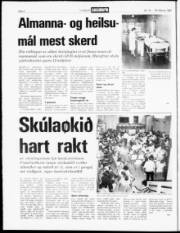 Síða 2