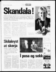 Síða 3