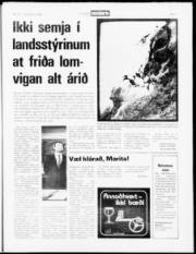 Síða 7
