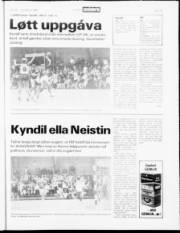 Síða 19