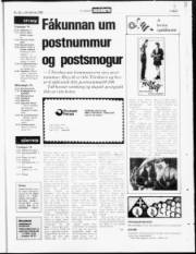Síða 23