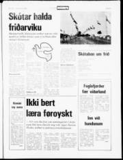 Síða 5