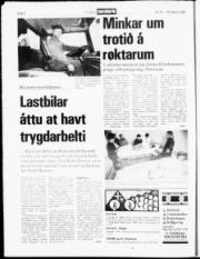 Síða 8