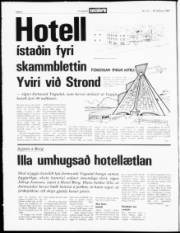 Síða 2