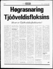Síða 8