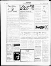 Síða 22