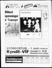 Síða 24
