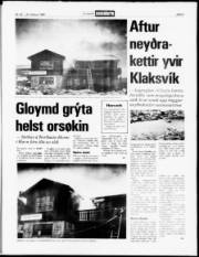Síða 5