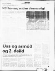 Síða 17