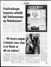 Síða 12