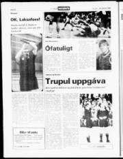 Síða 15
