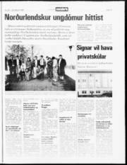 Síða 18