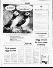 Síða 20