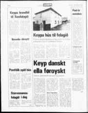 Síða 2