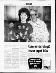 Síða 13