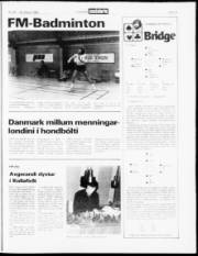 Síða 15