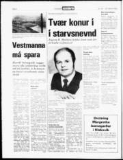 Síða 4