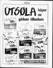 Síða 19