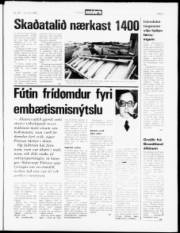 Síða 5