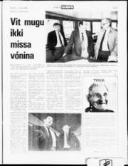 Síða 9