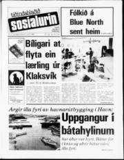 Síða 1