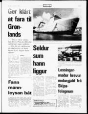 Síða 5