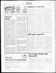Síða 6