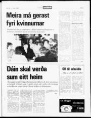 Síða 3