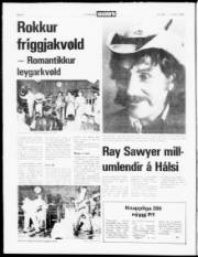 Síða 4