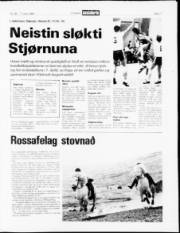 Síða 11
