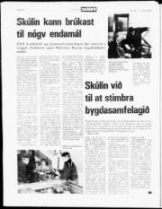 Síða 14