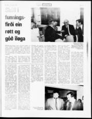 Síða 15