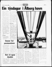 Síða 5