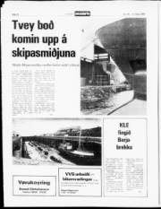 Síða 10