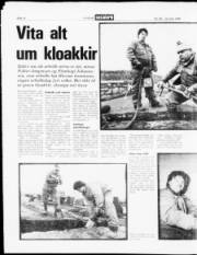 Síða 12