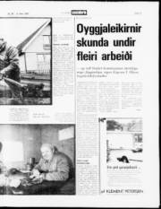 Síða 13