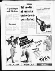 Síða 14