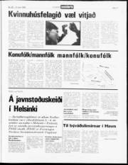 Síða 17