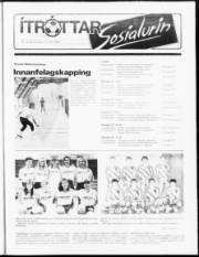 Síða 19
