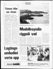 Síða 2