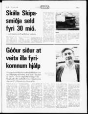 Síða 3