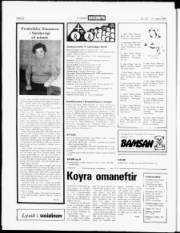 Síða 22