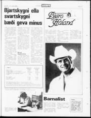Síða 23