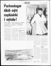 Síða 2