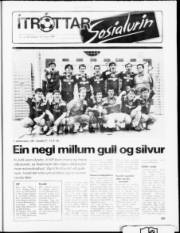 Síða 9