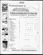 Síða 17