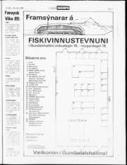 Síða 17