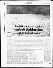 Síða 20