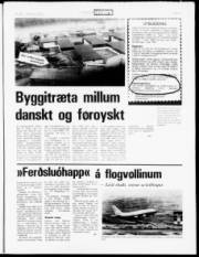 Síða 5