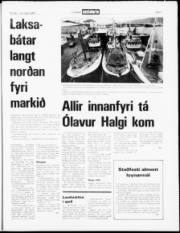 Síða 7